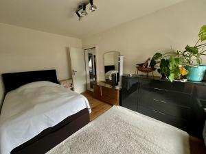 a bedroom with a bed and a dresser with a mirror at Royal Apartment 02 in Schaan