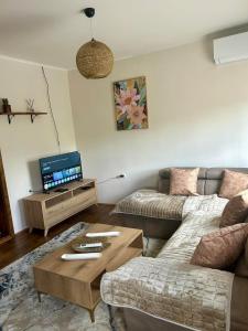 a living room with a couch and a coffee table at Mont Peak Apartment in Kolašin