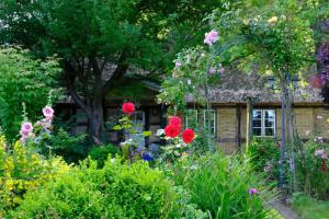 a garden with flowers in front of a house at Judies Garten in Füsing