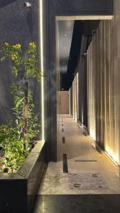 a hallway of a building with a plant at سويت مسك غرفة وصالة بلمسة عصرية راقية in Dammam