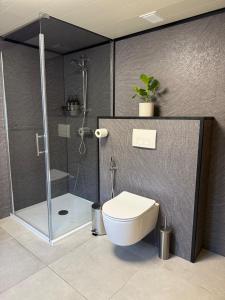 a bathroom with a shower and a toilet and a shower at Petite maison village fruitier in Gingelom +2 photos