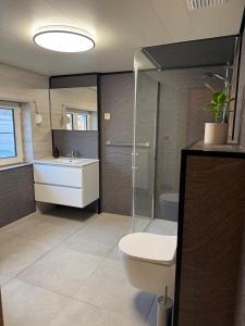 a bathroom with a toilet and a sink and a shower at Petite maison village fruitier in Gingelom