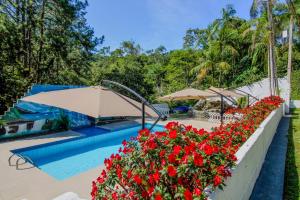 a swimming pool with red flowers and an umbrella at Sítio com Piscina Aquecida 7 Quartos com ar condicionado próximo de São Paulo in Juquitiba