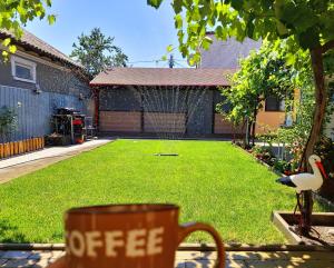 a coffee cup sitting on a table next to a yard at CĂSUȚA LUI ION in Sulina