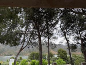 a group of trees with a river in the background at Sid's mobile home - Camping Riba Roja in Riba-roja d'Ebre