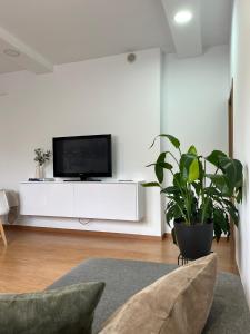 a living room with a tv and a potted plant at Casa Xoubiña in Mos