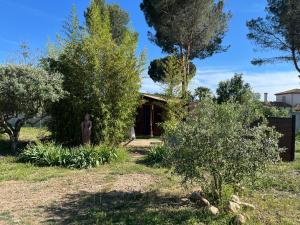 a garden with a house in the background at Chalet des oliviers 10mn CV Béziers dans propriété bien pour cyclistes in Béziers +3 photos