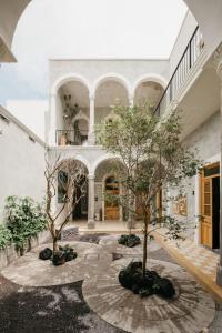 a courtyard with two trees in a building at Calle y Número, San Felipe in Guadalajara