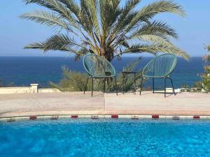 two chairs and a palm tree next to a swimming pool at Home With Private Pool Ocean and Mountain Views in Los Barriles