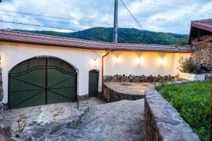 a building with a green garage door and some birds at Fântânele Vacation Home, Charming Rustic Home in Fîntînele