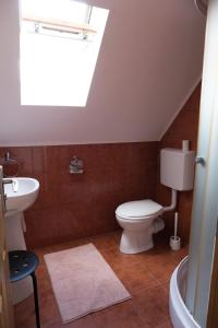 a bathroom with a toilet and a sink and a skylight at Fântânele Vacation Home, Charming Rustic Home in Fîntînele +10 photos