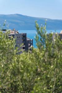 a view of buildings through the leaves of trees at Olivet Hotel in Vlorë