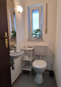 a bathroom with a toilet and a sink at Ferienwohnung Alex in Nidderau +9 photos
