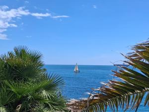 a sail boat in the ocean with palm trees at Oasis Villa - Sea View Pool, Sanremo in Sanremo +31 photos
