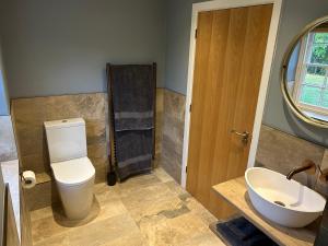 a bathroom with a toilet and a sink at Country Cottage with moat in Ingatestone
