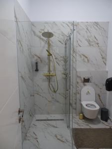 a bathroom with a shower with a toilet at Central Residence Aiud in Aiud