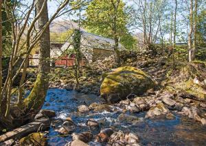 a stream with rocks and a house in the background at Glen Clova Lodges in Angus
