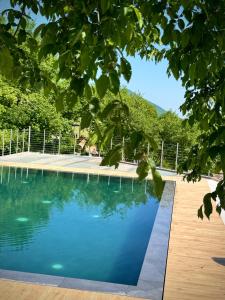 a swimming pool with blue water and trees at B&B Bernacco in Vallio Terme +25 photos