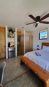 a bedroom with a bed and a ceiling fan at Pitaya Guest Suite in El Pescadero