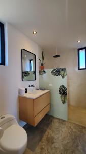 a bathroom with a toilet and a sink and a mirror at Pitaya Guest Suite in El Pescadero