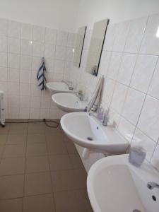 a bathroom with two sinks and two mirrors at Hostel Drahonice in Drahonice