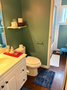 a bathroom with a toilet and a sink and a mirror at Comfortable stay in Milton
