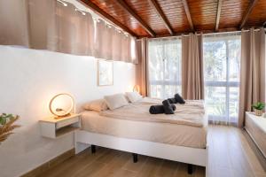 a bedroom with a bed and a large window at Silent Paradise Drago Complex in Costa Del Silencio +18 photos