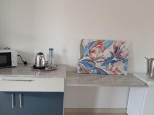 a kitchen with a counter top with a microwave at JUSTSAND Guesthouse in Virginia