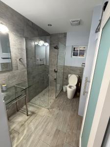 a bathroom with a shower and a toilet and a sink at Charm New Kingston in Kingston