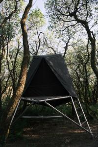 a black tent in the middle of a forest at K-Tent 1 in Treknow