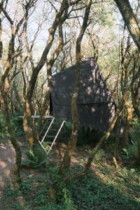 a tent sitting in the middle of a forest at K-Tent 1 in Treknow +27 photos