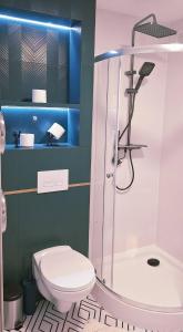 a bathroom with a shower and a toilet and a sink at Fountain View 2 bedroom Apartment in Naujoji Akmenė +15 photos