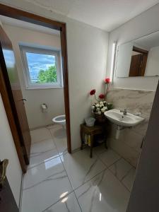 a bathroom with a sink and a toilet and a window at Penthouse in Schaan in Schaan +32 photos