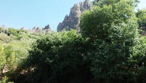 Zdjęcie z galerii obiektu Casas La Piedra De Tíscar w mieście Tiscar