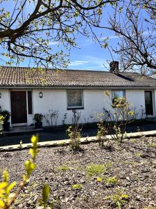 a white house with a yard in front of it at Hus in Risskov