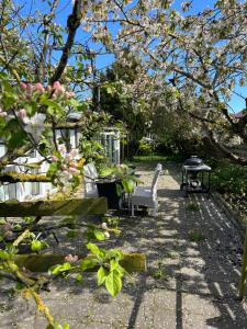 a garden with a bench and a table and a tree at Hus in Risskov