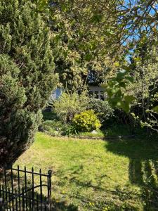 a fence in front of a yard with trees at Hus in Risskov +1 photo