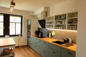 a kitchen with a sink and a counter top at Villa Lydia in Kurort Altenberg