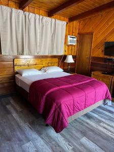 a bedroom with a bed with a purple blanket at Toiyabe Motel in Walker