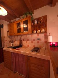 a kitchen with wooden cabinets and a stove in it at Holiday Home Brist in Brestova Draga