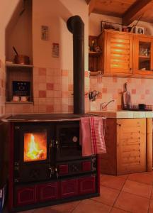a kitchen with a stove with a fire in it at Holiday Home Brist in Brestova Draga