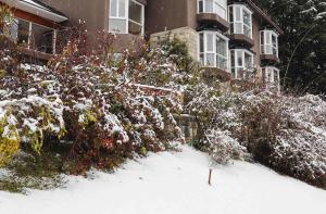 ein schneebedeckter Garten vor einem Haus in der Unterkunft La Cascada Casa Patagónica by DON in San Carlos de Bariloche