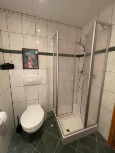 a bathroom with a shower and a toilet at Ferienwohnung Haus Liane in Reil +8 photos