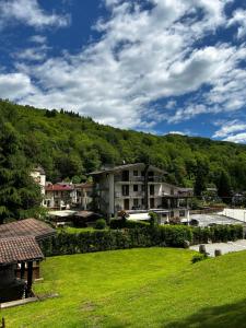 a green yard with houses and a hill in the background at Locanda Fungo Reale in Valloriate