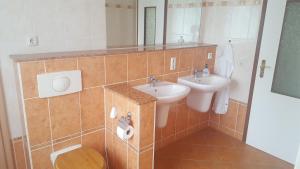 a bathroom with a sink and a toilet and a mirror at Ferienwohnung Helena in Markkleeberg +2 photos