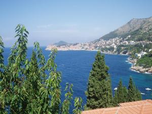 vistas a una gran masa de agua con árboles en Guest Accommodation Sveti Jakov en Dubrovnik