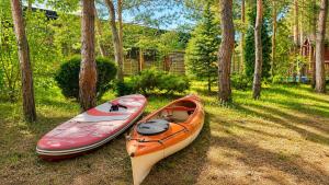 two kayaks sitting on the grass next to trees at Дом в лесу 1dom club in Protsev +38 photos