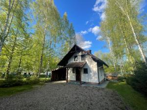 a small white house in the middle of a forest at Przylądek Werlas in Werlas