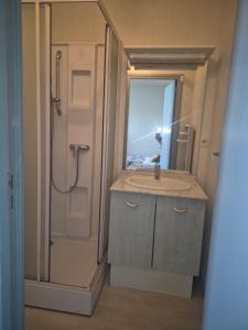 a bathroom with a sink and a shower with a mirror at Appartement proche Le Pal 3 in Dompierre-sur-Besbre