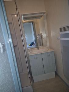 a bathroom with a sink and a mirror at Appartement proche Le Pal 3 in Dompierre-sur-Besbre